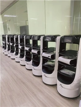 De robotindustrie zal het China-tijdperk inluiden. Wat zijn de voor- en nadelen?